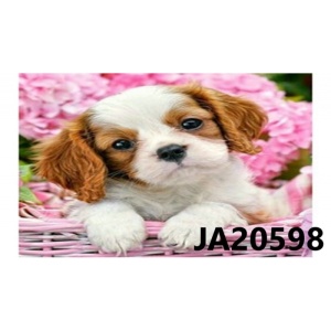 Диамантен гоблен 