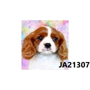 Диамантен гоблен 